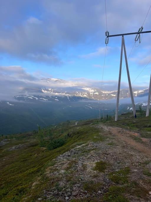 Tromso'S Best Location? City & Nature 5 Mins Away. المظهر الخارجي الصورة